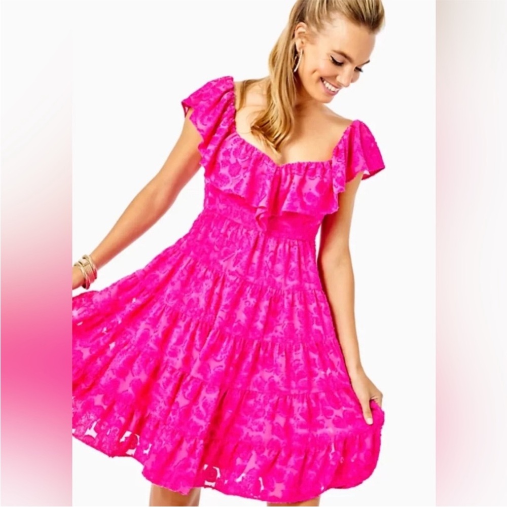 NWT Lilly Pulitzer Emie Dress SZ 4 Berry Soiree Chenille Clip Chiffon